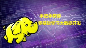 A+认证：轻松掌握IT入门技能，开启高薪职业之路