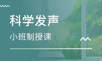 声乐培训班：零基础到专业歌手的捷径，轻松掌握科学发声技巧