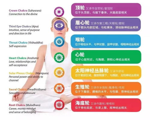 声乐培训班：零基础到专业歌手的捷径，轻松掌握科学发声技巧