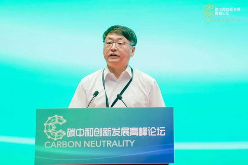 冯斌：从跨界媒体到内容创新领军人物的成长历程与成就解析