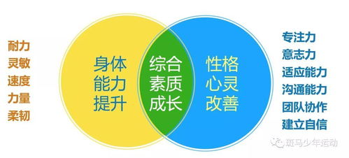 体育培训如何帮助孩子提升身体素质、培养团队精神并促进全面发展？