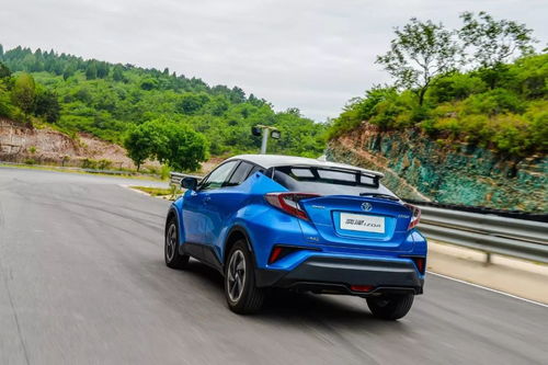 李天成长轨迹揭秘：从教室后排到行业标杆的逆袭之路，如何用跨界思维解决职业发展难题