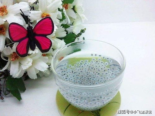 明列子是什么？揭秘这种神奇种子的营养功效与美味吃法，轻松改善消化控制食欲