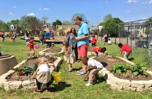 果木种植与利用全攻略：从果园到餐桌的甜蜜之旅