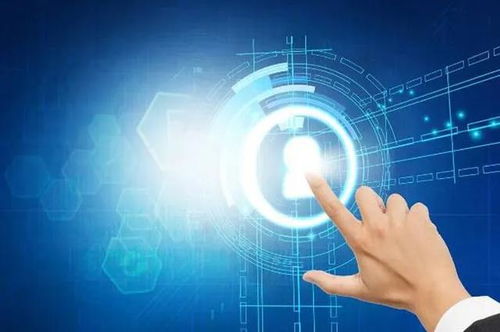 启星教育：个性化学习路径与智能科技融合，让每个孩子找到最适合的成长方式