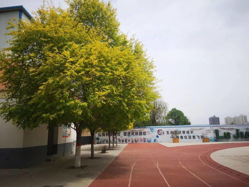 北京八一学校：军事化管理与优质教育如何让孩子在自律中快乐成长