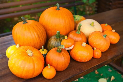 南瓜的英文是什么？轻松掌握pumpkin的正确拼写、发音和文化用法