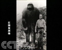 莱佛士：从殖民官员到新加坡奠基者的传奇人生与远见卓识