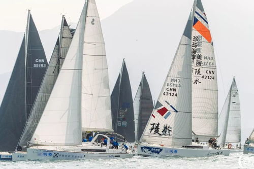 海帆运动全攻略：从起源到进阶，轻松掌握航海乐趣与安全技巧