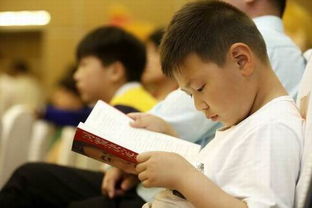 孙云晓教育理念：培养健康人格与好习惯的家庭教育指南，让孩子快乐成长