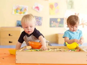 金宝贝早教：让孩子在快乐游戏中全面成长，解决家长早教选择难题