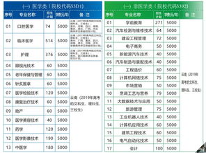 德宏职业学院招生指南：专业选择、就业前景与报名流程全解析