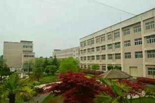 合肥铁路工程学校：成就铁路梦想的优质职业教育平台