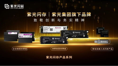Flash存储技术全解析：从U盘到SSD，揭秘数据存储的便捷与可靠