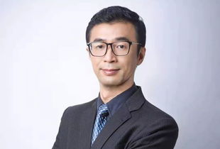 李鸣心理学理论：掌握心理流动性，轻松提升情感能级，告别心理困扰