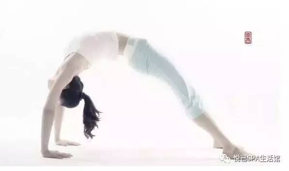 瑜伽馆新手入门指南：从选择课程到坚持练习的完整攻略