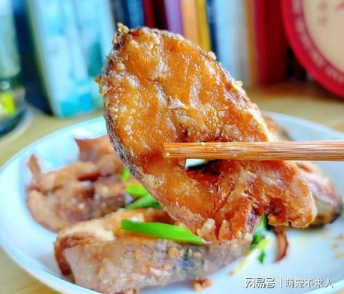 香酥鸭家常做法与经营秘诀：外酥里嫩轻松上手，开店赚钱不再难