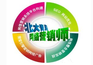 北大青鸟学校：快速掌握实用IT技能，轻松实现高薪就业梦想