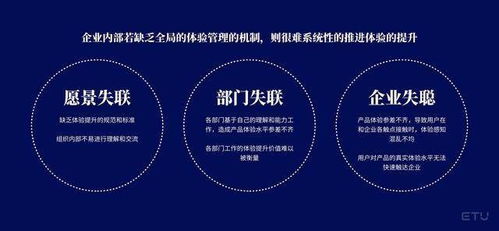 企业内部控制：构建高效免疫系统，轻松防范运营风险