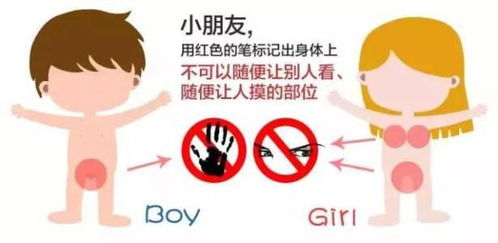 少儿培训市场全解析：如何为孩子选择最适合的课程，避开选择陷阱，让学习更快乐高效