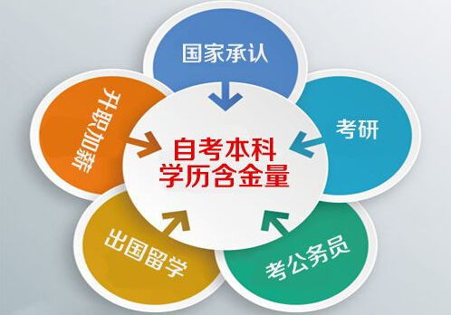 学前教育专业就业前景：揭秘高薪机会与轻松入行指南