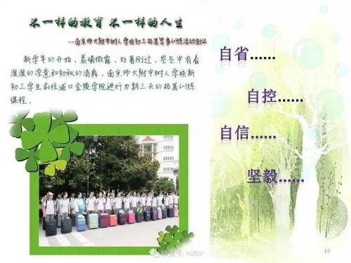 树人中学招生政策与校园生活全解析：如何为孩子选择最适合的成长环境