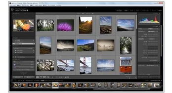 摄影学校全攻略：轻松选对课程，快速提升技能，开启职业摄影之路