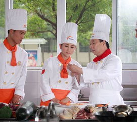 厨师培训：从零基础到专业厨师的完整指南，轻松掌握烹饪技能，开启美食事业