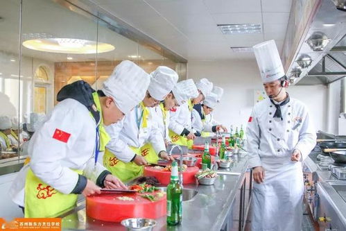 厨师培训：从零基础到专业厨师的完整指南，轻松掌握烹饪技能，开启美食事业