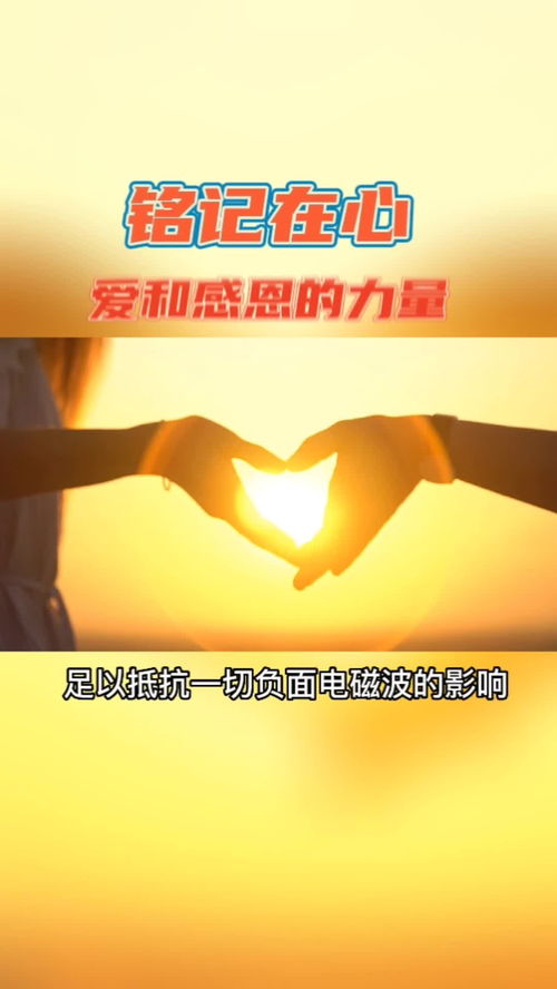 自力：解锁内在力量，告别依赖，成就独立人生