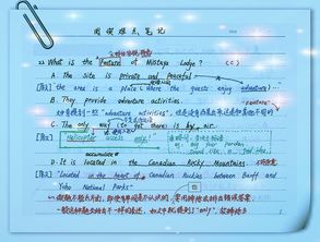 六级试题高效备考全攻略：掌握技巧轻松通关，告别英语学习迷茫