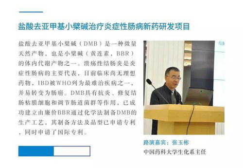柴伟：从技术天才到行业领袖的成长密码，揭秘如何用创新思维解决实际问题