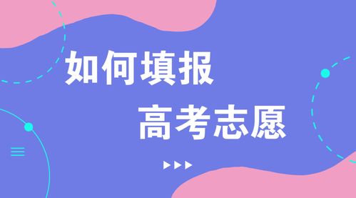 本人工作志愿：如何轻松找到让你发光发热的理想职业
