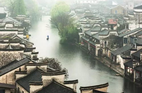 彭鹏：从江南水乡到当代艺术圈的独特创作视角与成长之路