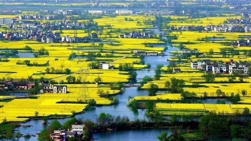 彭鹏：从江南水乡到当代艺术圈的独特创作视角与成长之路