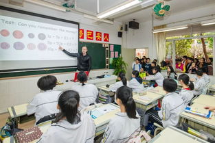 谢家湾小学入学政策与教学质量全解析：让孩子在快乐中绽放光彩