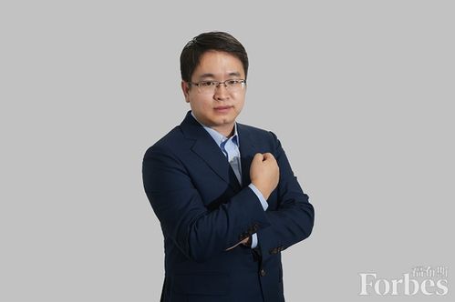 陈志峰：从普通家庭到科技领袖的成长之路，揭秘他的成功经验与行业贡献