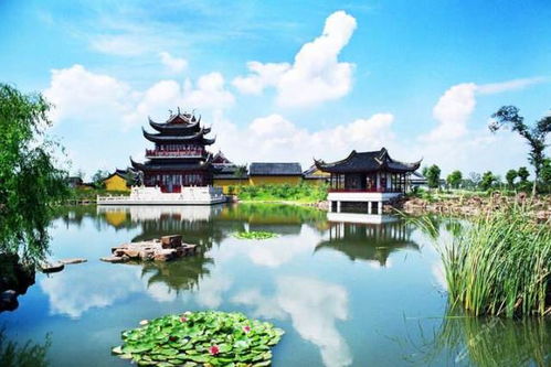 李玉婷的成长与成功：从江南水乡到行业标杆的创作之路