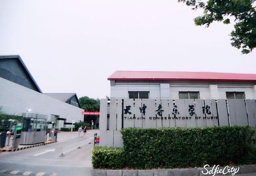天津音乐学院是几本？揭秘这所艺术殿堂的录取政策与报考攻略