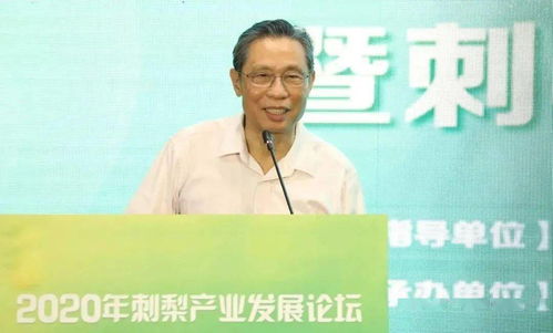 黄坤的职业发展轨迹与行业影响力：从技术专家到产业推动者的成功路径