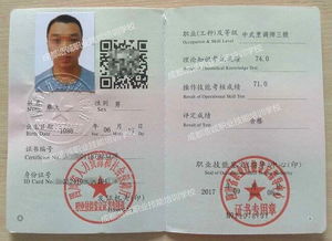 厨师等级证书怎么考？从初级到高级技师的完整晋升指南，助你轻松规划烹饪职业发展