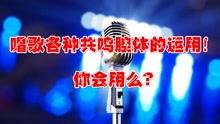 唱歌培训指南：轻松掌握专业发声技巧，告别高音上不去低音下不来的烦恼