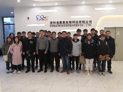 杨老师互动式个性化教学：告别沉闷课堂，激发学习热情与创新思维