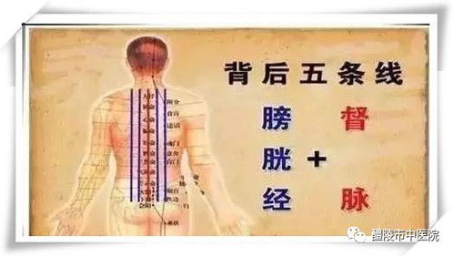 朱鹤亭养生功法与食疗：轻松掌握中医养生秘诀，告别肩颈不适与肠胃困扰