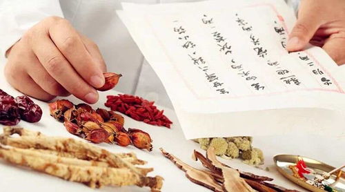 朱鹤亭养生功法与食疗：轻松掌握中医养生秘诀，告别肩颈不适与肠胃困扰