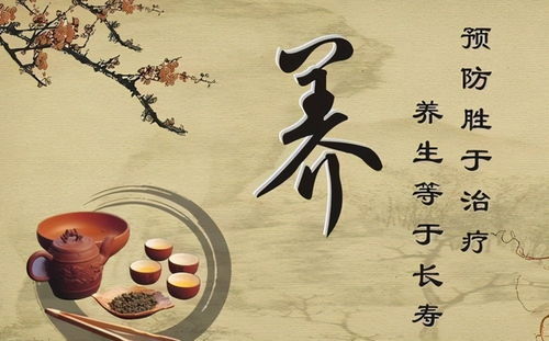 朱鹤亭养生功法与食疗：轻松掌握中医养生秘诀，告别肩颈不适与肠胃困扰