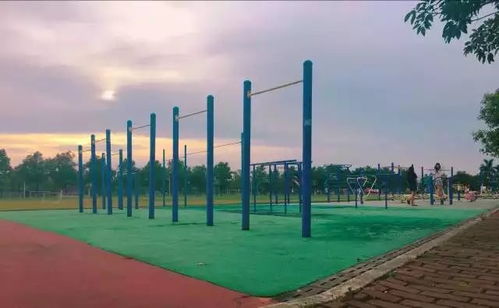 广州工商学院三水校区：校园环境、专业设置与生活指南全解析，助你轻松择校与适应