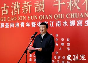 夏杰：从江南水乡到创意巅峰，揭秘跨界艺术家的成长与成功秘诀