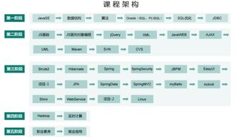 收纳师在哪里培训？揭秘靠谱培训渠道与职业发展路径，助你轻松入行