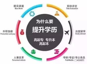 在职培训：职场充电站提升技能，轻松应对工作挑战